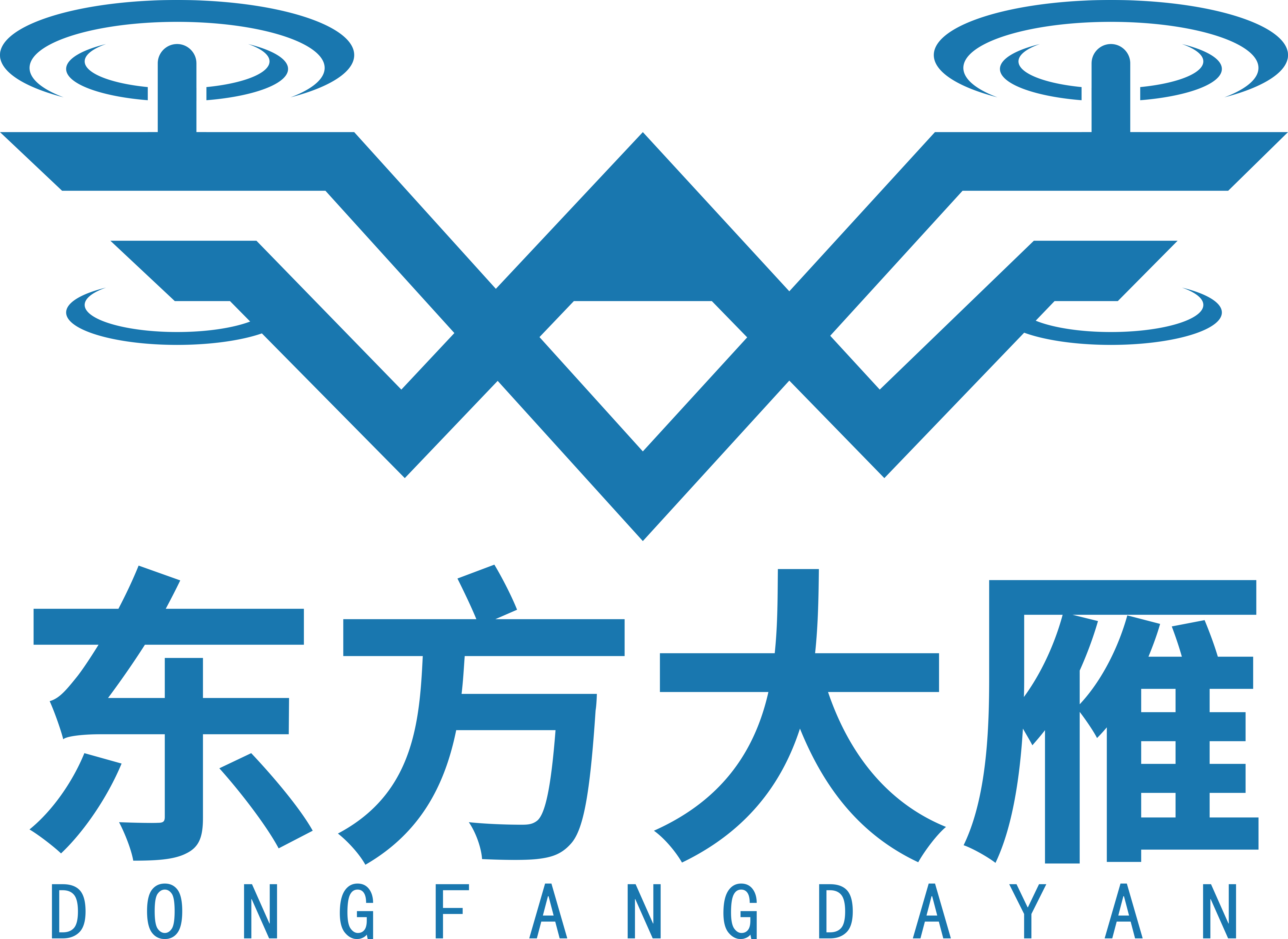 东方大雁航空科技